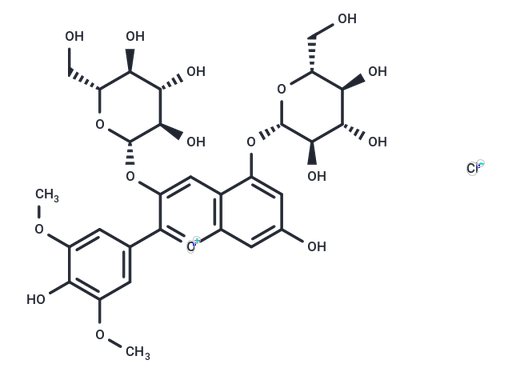 Malvidin-3,5-O-diglucoside chloride (Standard)
