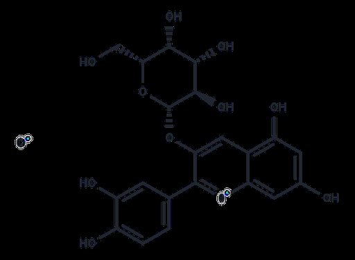 Cyanidin-3-O-galactoside chloride (Standard)