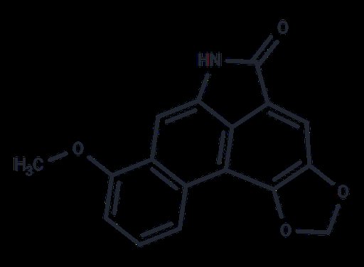 Aristolactam I (Standard)
