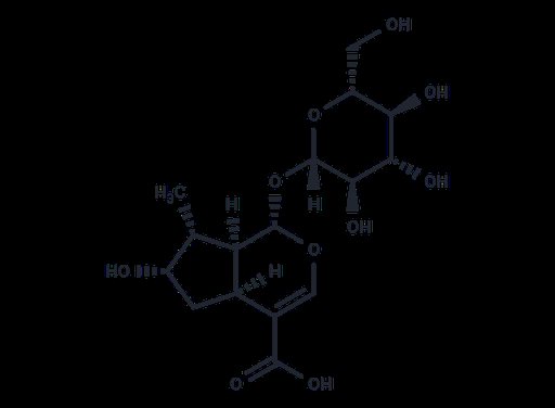 Loganic acid (Standard)