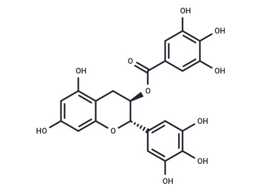 (-)-Gallocatechin gallate (Standard)