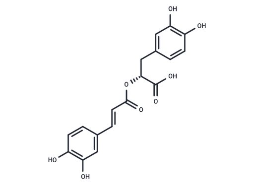 Rosmarinic acid (Standard)