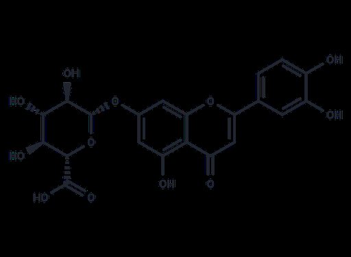 Luteolin 7-O-glucuronide (Standard)