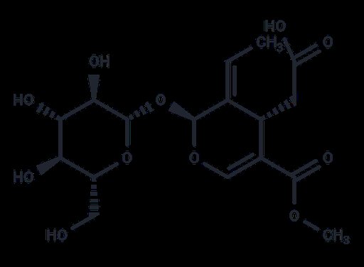 Oleoside 11-methyl ester (Standard)