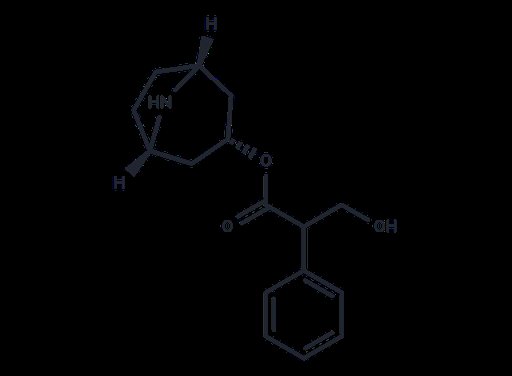 Noratropine (Standard)