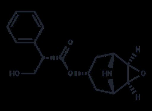 Norscopolamine (Standard)