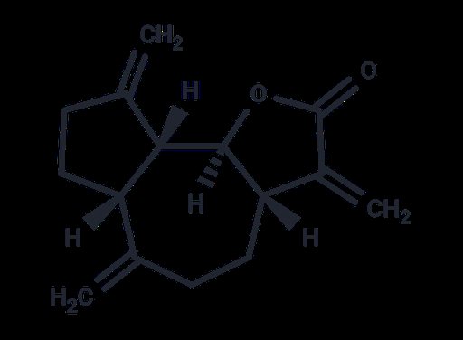 Dehydrocostus Lactone (Standard)
