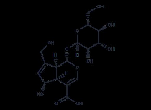 Deacetylasperulosidic Acid (Standard)