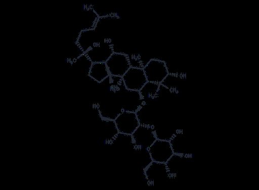 Ginsenoside Rf (Standard)