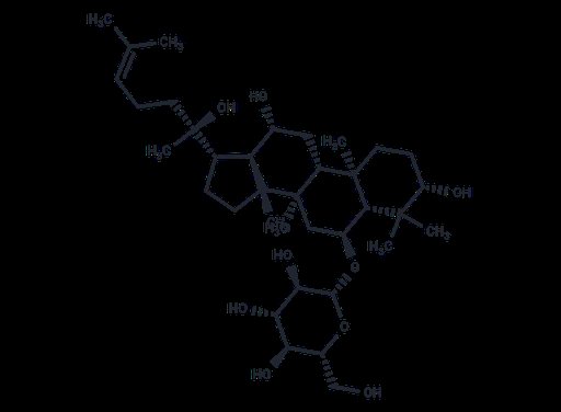 Ginsenoside Rh1 (Standard)
