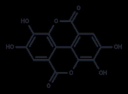 Ellagic acid (Standard)