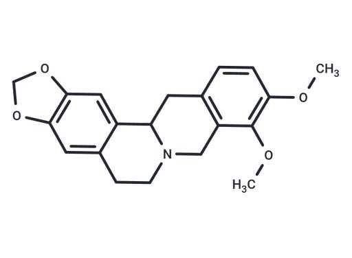 Tetrahydroberberine (Standard)