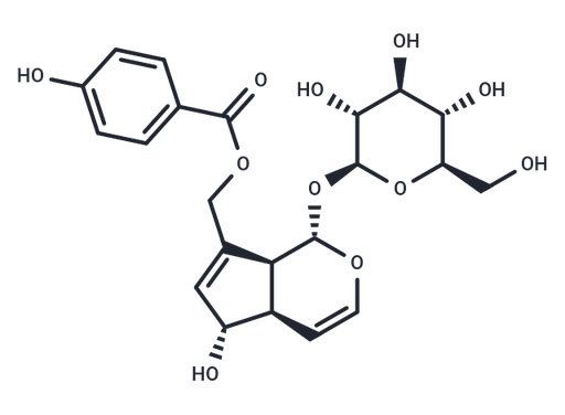 Agnuside (Standard)
