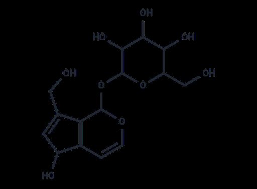 Aucubin (Standard)