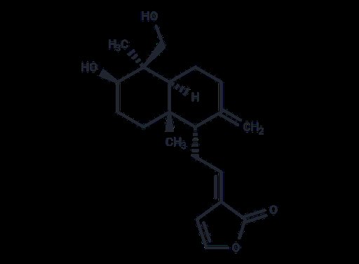 Dehydroandrographolide (Standard)