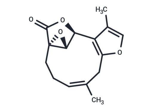 Linderane (Standard)