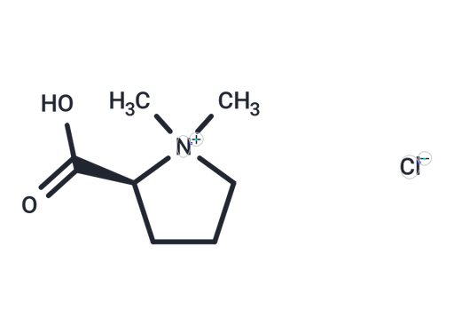 Stachydrine Hydrochloride (Standard)