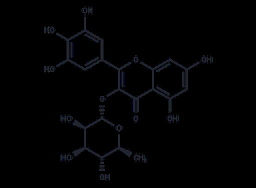 Myricitrin (Standard)