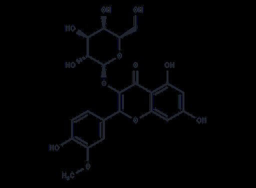 Isorhamnetin 3-O-galactoside (Standard)