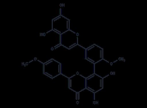 ISOGINKGETIN (Standard)