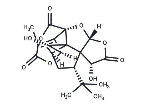 Ginkgolide K (Standard)