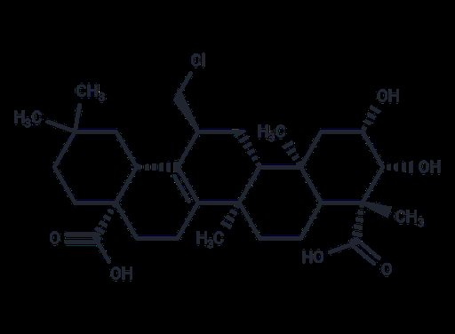 Tenuigenin (Standard)