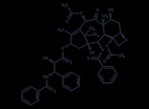 Paclitaxel (Standard)
