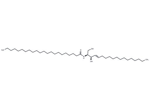 C22 Ceramide (d18:1/22:0) (Standard)