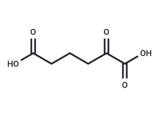 Oxoadipic acid (Standard)