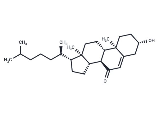 7-Ketocholesterol (Standard)