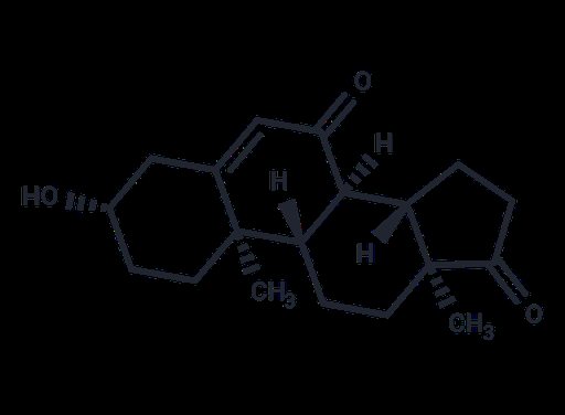 7-Keto DHEA (Standard)