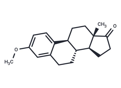 Estrone 3-methyl ether (Standard)
