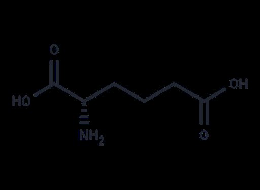 L-α-Aminoadipic Acid (Standard)