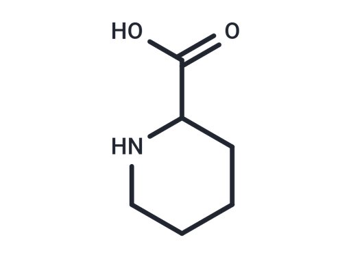 Pipecolic acid (Standard)