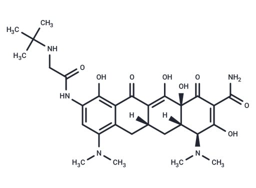 Tigecycline (Standard)