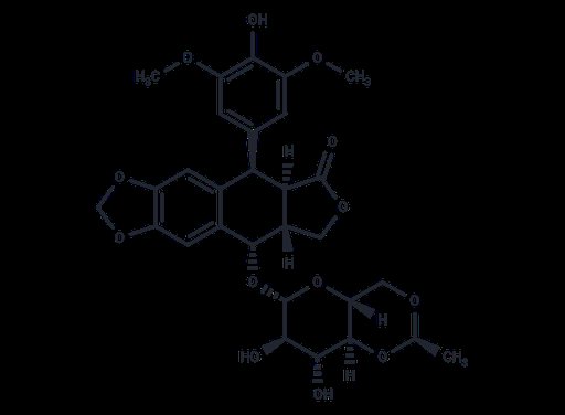 Etoposide (Standard)