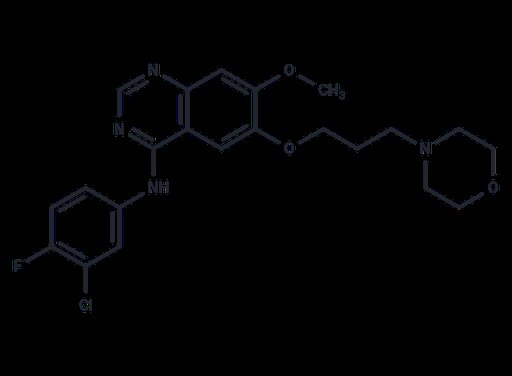Gefitinib (Standard)