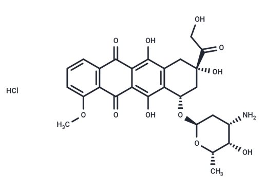 Doxorubicin hydrochloride (Standard)