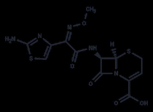 Ceftizoxime (Standard)