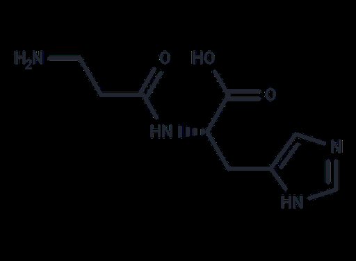 L-Carnosine (Standard)