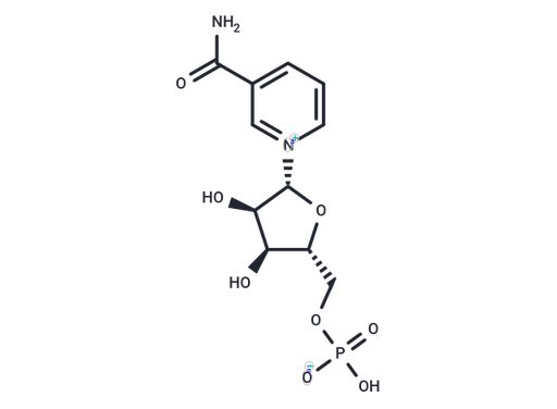 β-Nicotinamide mononucleotide (Standard)