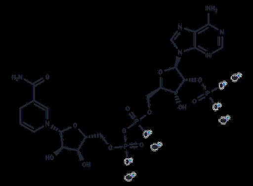 NADPH tetrasodium salt (Standard)