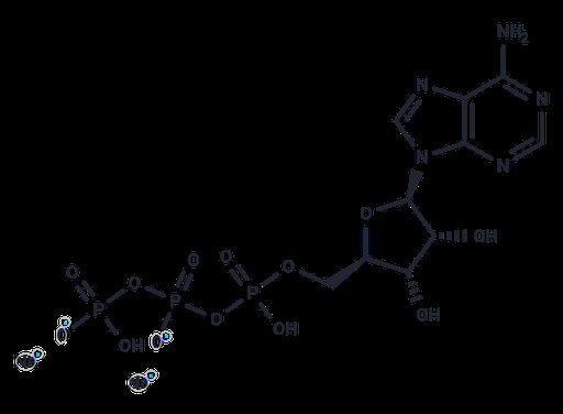 ATP disodium salt (Standard)