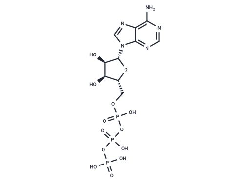 ATP (Standard)