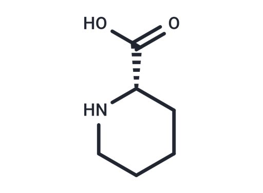 L-Pipecolic acid (Standard)