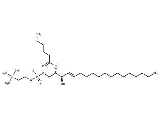 LSD-ASM-S (Standard)