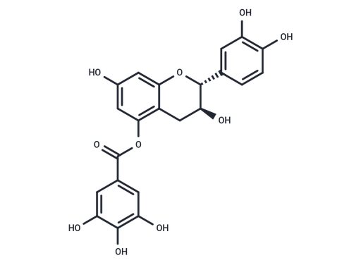 (+)-atechin 5-gallate (Standard)