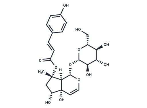 8-p-Coumaroyl-harpagide (Standard)