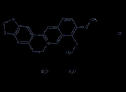 Berberine chloride dihydrate (Standard)