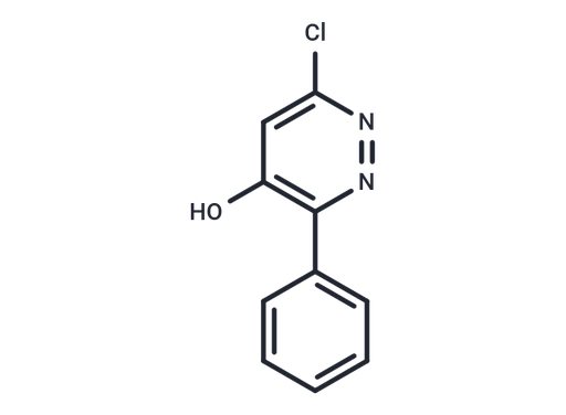 6-Chloro-4-hydroxy-3-phenyl-pyridazine (Standard)